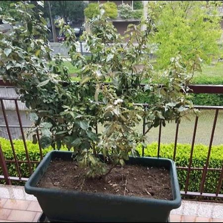 فندق Bergamo & Dintorni المظهر الخارجي الصورة