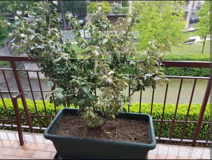 فندق Bergamo & Dintorni المظهر الخارجي الصورة